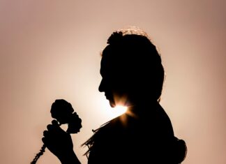 Bono Solidario Panamá: ¿Cómo Puede Cambiar Tu Situación Actual?