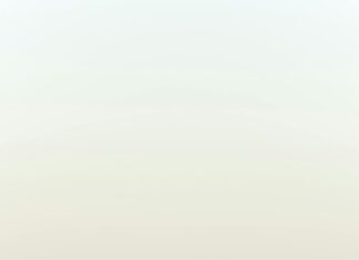 Qué Es Etnia Negra: Descubre Su Historia y Cultura Fascinante