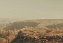 apartamentos en alquiler panama: Descubre Tu Hogar Ideal Hoy