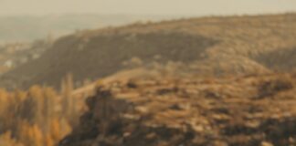 Chayane En Panamá: ¿Por Qué Su Música Fascina A Todos? Noticias de Panamá