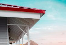 Ex Director Del Minsa Panamá: ¿Qué Revelaciones Impactantes Tiene?