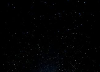 Mundo Anuncio Panamá: ¿Cómo Aumentar Tus Ventas Exitosamente?