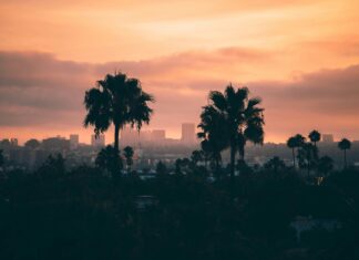 Los Carnavales En Panamá: Descubre La Magia Tropical Que Sorprende