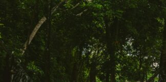 Consorcio Cuarto Puente: ¿Cómo Transformará Tu Viaje Diariamente? Noticias de Panamá