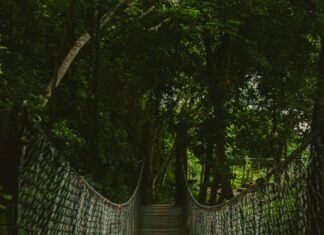 Consorcio Cuarto Puente: ¿Cómo Transformará Tu Viaje Diariamente?