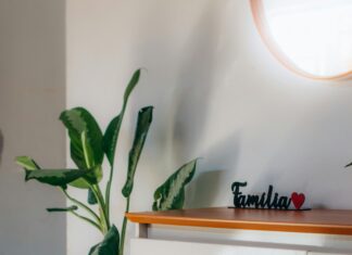 Familia Monoparental: ¿Cómo Superar Desafíos y Crecer Juntos?