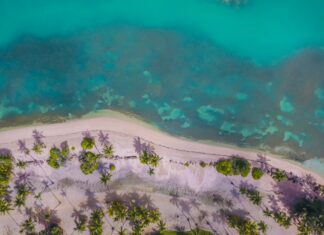 Puerto De Balboa: ¿Por Qué Es Un Destino Imperdible En Panamá?