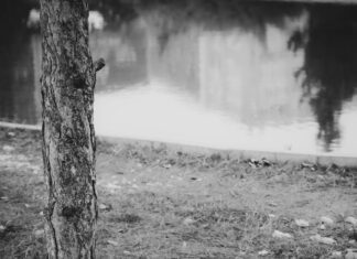 Ley 38 De 2000: ¿Cómo Afecta Tu Vida Diaria En La Sociedad?