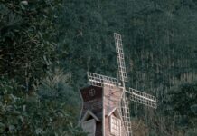 Parque Andrés Bello: ¿Por Qué Es El Espacio Verde Ideal?