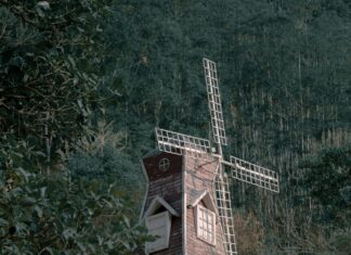 Parque Andrés Bello: ¿Por Qué Es El Espacio Verde Ideal?