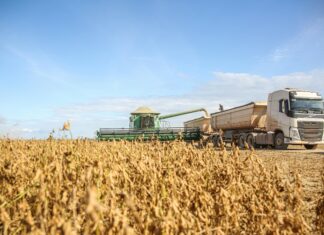 Instituto Para La Formación Y Aprovechamiento De Recursos Humanos: ¿Cómo Transformar Tu Carrera?