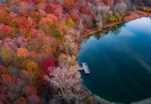 Mi Correo.meduca.edu.pa Estudiante: ¿Cómo Acceder y Utilizar?