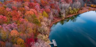 Mi Correo.meduca.edu.pa Estudiante: ¿Cómo Acceder y Utilizar? Noticias de Panamá