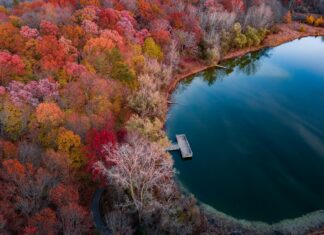 Mi Correo.meduca.edu.pa Estudiante: ¿Cómo Acceder y Utilizar?