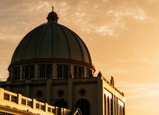 Beisbol Mayor: ¿Por Qué Este Deporte Captura Nuestras Pasiones?