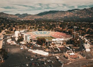 Los Guayacanes: ¿Por Qué Este Árbol Es Un Tesoro Natural?