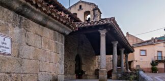 Flor Del Espiritu Santo: Descubre Sus Secretos Mágicos y Beneficios Noticias de Panamá