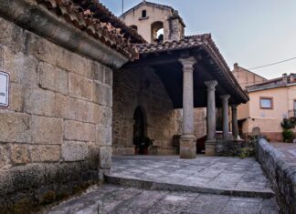 Flor Del Espiritu Santo: Descubre Sus Secretos Mágicos y Beneficios