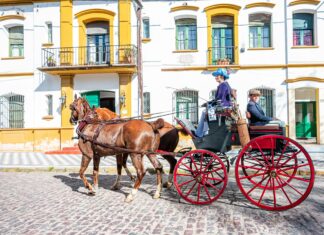 Coach Panama: Descubre Las Mejores Rutas Para Tu Aventura