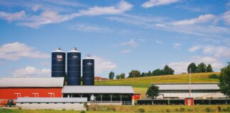 Vale: ¿Cómo Panamá Solidario Transformará Tu Vida? Gob. Pa Te Sorprenderá Noticias de Panamá