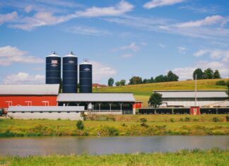 Vale: ¿Cómo Panamá Solidario Transformará Tu Vida? Gob. Pa Te Sorprenderá