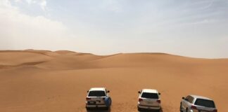 Pase-U: ¿Cómo Transformar Tu Experiencia de Aprendizaje? Noticias de Panamá