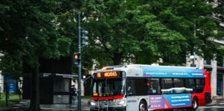 pexels photo 34352320 1 Noticias de Panamá