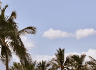 Changuinola: Descubre Los Secretos Ocultos De Este Paraíso Tropical