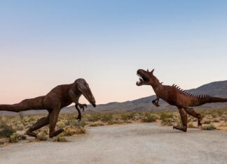 Dino Mon: ¿Cómo Este Fascinante Mundo de Dinosaurios Te Sorprenderá?