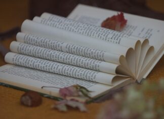 Pago De Becas Ifarhu 2025: ¿Cómo Asegurarte De Recibirlo?