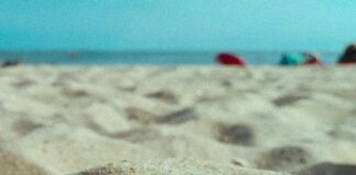 Mi Primer Empleo: Consejos Clave Para Triunfar Desde El Inicio Noticias de Panamá