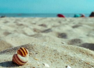 Mi Primer Empleo: Consejos Clave Para Triunfar Desde El Inicio