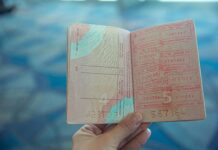 Vacunas.Panamasolidario.Gob.Pa/Verificate: ¿Estás Listo Para Protegerte?