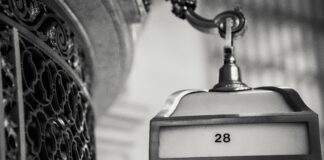 28 De Noviembre: ¿Qué Sorpresas Nos Traerá Este Día Especial? Noticias de Panamá