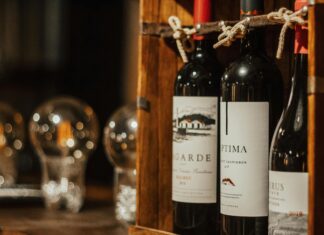 Optima Seguros: ¿Cómo Proteger Tu Futuro Financiero Eficazmente?