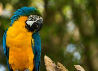 Parque Urraca: Descubre El Secreto De Su Belleza Natural