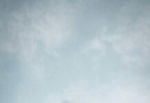 Cédula Digital Panamá: ¿Cómo Transformará Tu Identidad Legal?