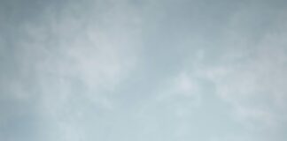 pexels photo 7385123 Noticias de Panamá