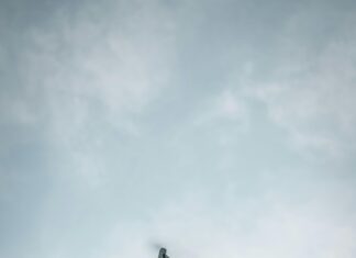 Vale Digital Panamá: ¿Cómo Transformar Tu Negocio En Línea?