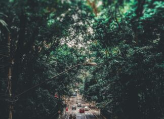 ¿Qué Se Celebra El 10 De Noviembre? Descubre Su Significado!