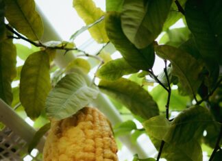 Instituto Oncológico Nacional: ¿Cómo Transformar Tu Entorno?