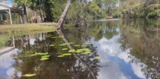 Preocupaciones de seguridad en Alaqua Creek tras 10 años sin pruebas preocupaciones-de-seguridad-en-alaqua-creek-tras-10-aos-sin-pruebas