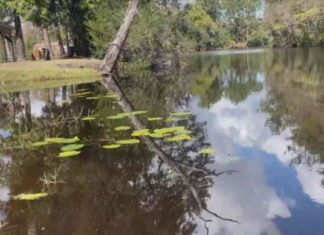Preocupaciones de seguridad en Alaqua Creek tras 10 años sin pruebas preocupaciones-de-seguridad-en-alaqua-creek-tras-10-aos-sin-pruebas