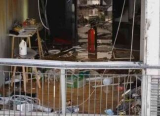 Tragedias Impactantes: Contenido Exclusivo tragedias-mpactantes-contenido-exclusivo