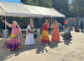 Festival de otoño anual organizado por el Consejo de Envejecimiento de la Bahía festival-de-otoo-anual-organizado-por-el-consejo-de-envejecimiento-de-la-baha