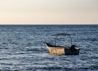 Don Colombia: Descubre Los Secretos Ocultos De Su Cultura Fascinante