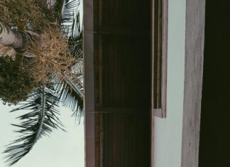 Estado De Emergencia: ¿Cómo Afecta Tu Vida Diaria Hoy?