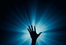 Gafas Ray Ban: Descubre Por Qué Son El Accesorio Imperdible