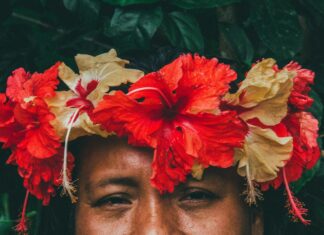 Lotería De Panamá Hoy Domingo: ¿Qué Sorpresas Te Esperan?