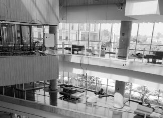 Inadeh Panama: ¿Cómo Transformar Tu Futuro Profesional Hoy?